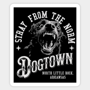 Stray from the Norm Magnet